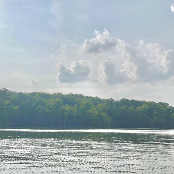 Meet your Posher, Evelyn - Picture 1 of 1